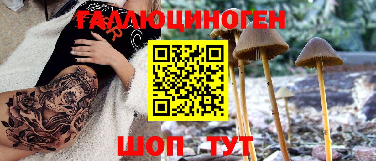 Галлюциногенные грибы ЛСД  Псилоцибиновые грибы Cubensis  Вход с VPN  закладка  Нарткала 